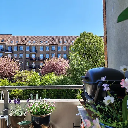 Bright, Spacious & Cozy In Norrebro *